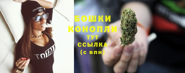 индика Верхнеуральск