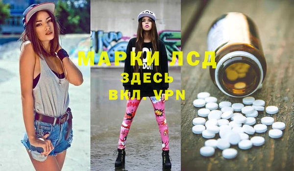 гидра Верея