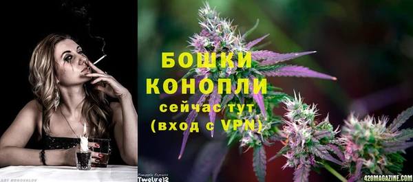 индика Верхнеуральск