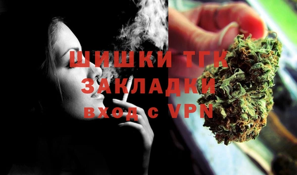 гидра Верея