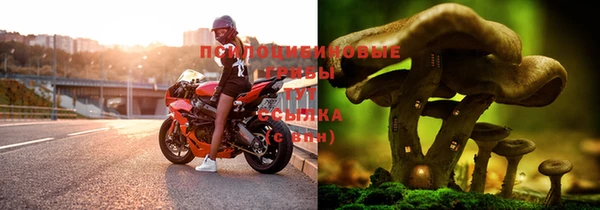 индика Верхнеуральск