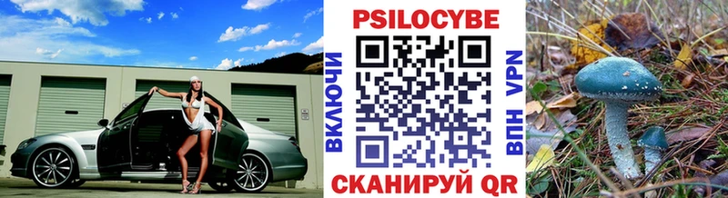 Купить  Сим  Псилоцибиновые грибы GOLDEN TEACHER 